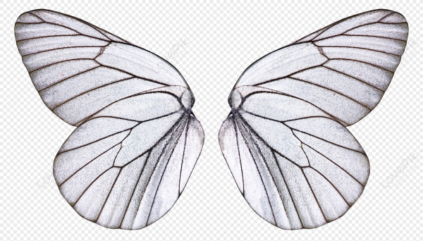 Фон крыльев бабочек