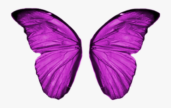 Розовые Крылья бабочки