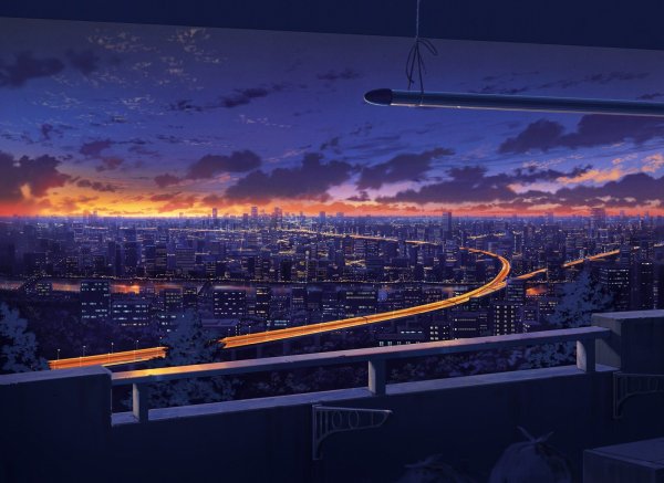 Вид с крыши аниме