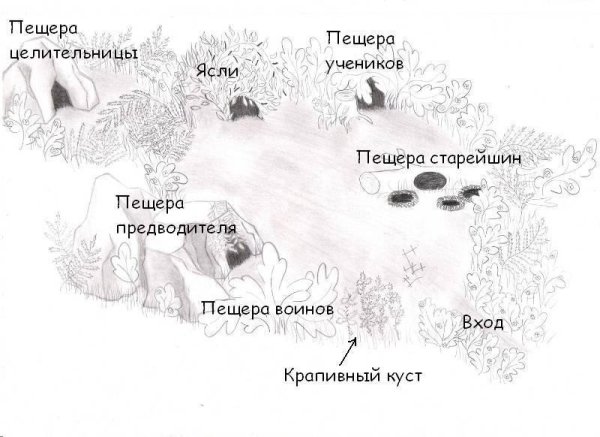 Коты Воители карта лагеря грозового племени