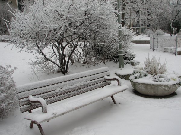 Скамейка в зимнем парке