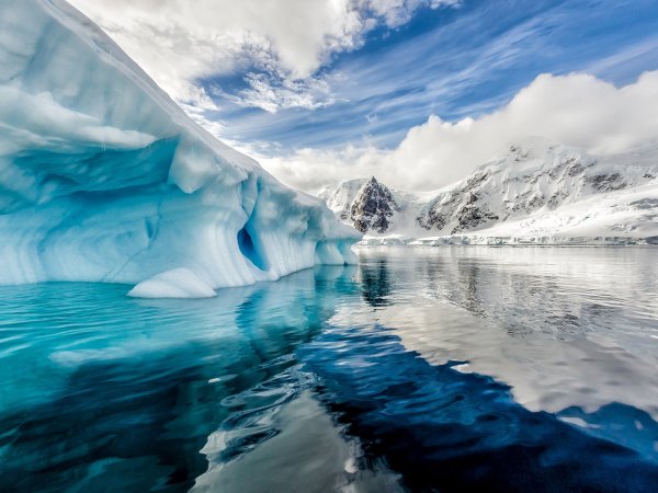 Лед Айсберг Арктика Антарктида