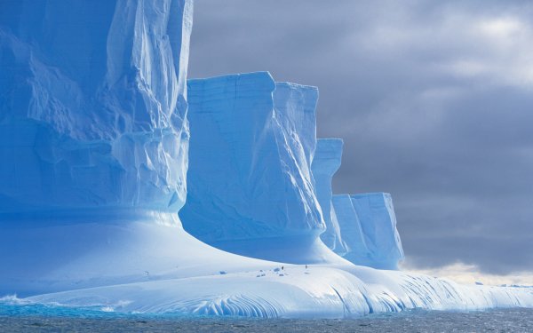 Арктика Антарктика Антарктида