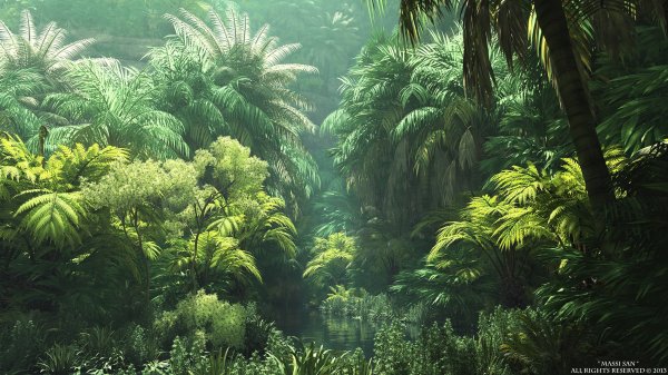 Тропические леса far Cry