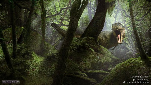 Фон лес динозавров