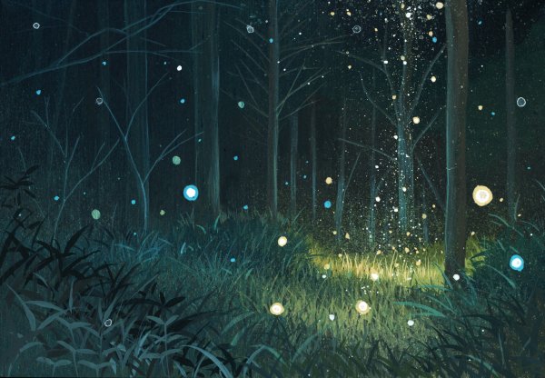 Фон лес нарисованный ночью