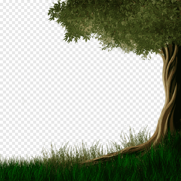 Рамка дерево
