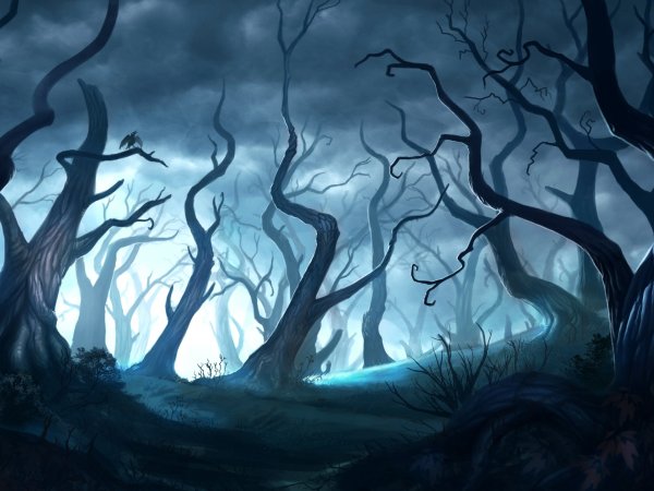 Лес тёмный и дремучий аниме