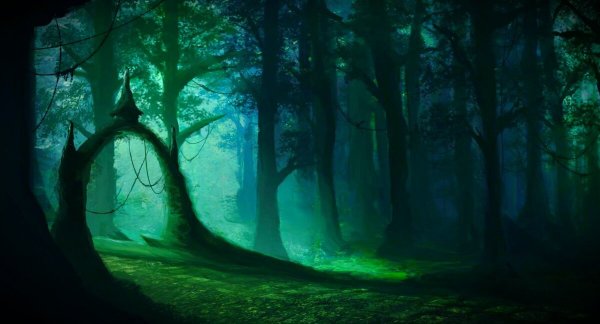 Темный сказочный лес