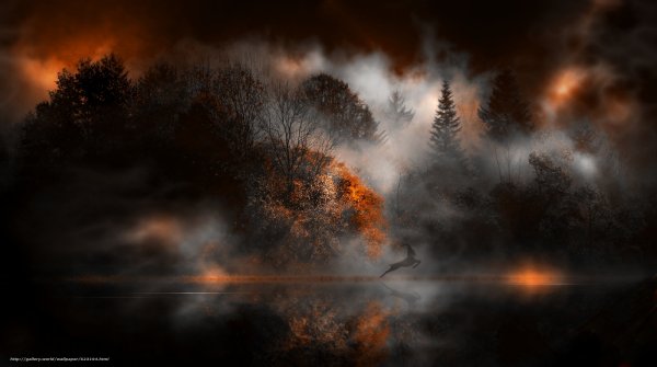Огни в тумане