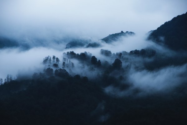 Горы в тумане роспись