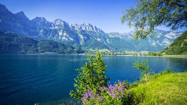 Швейцария природа озеро Альпы