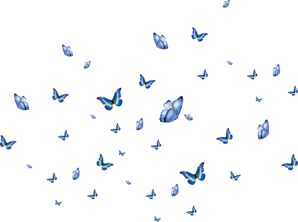 Много бабочек на прозрачном фоне