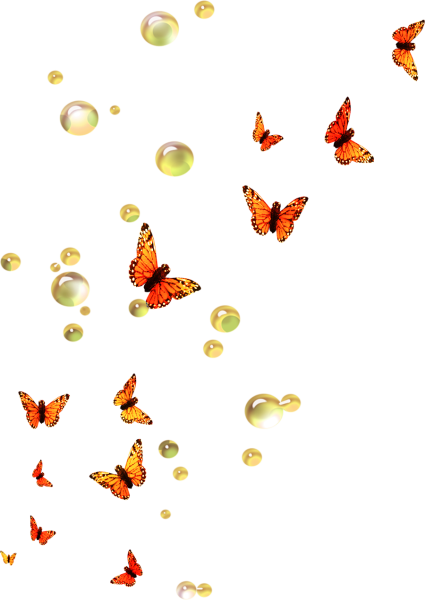 Живые бабочки на прозрачном фоне