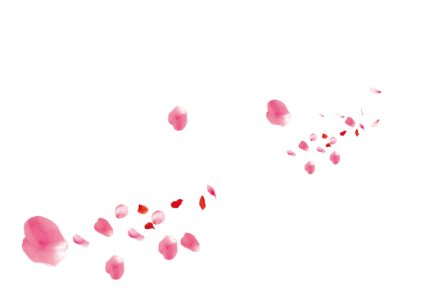 Розовые лепестки