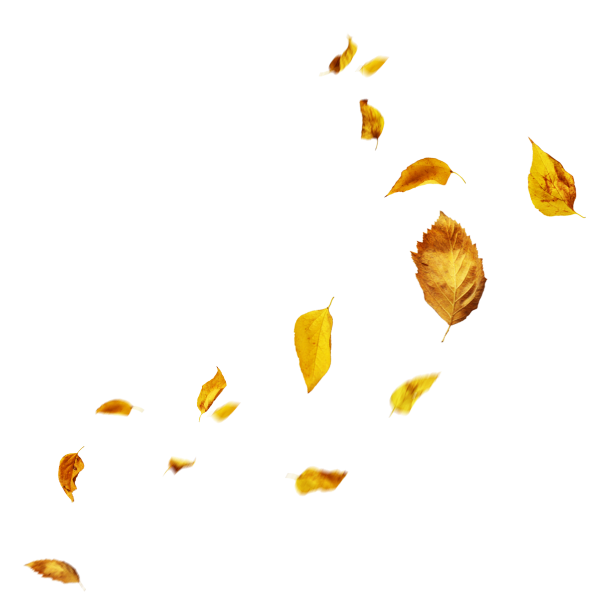 Летающие листья