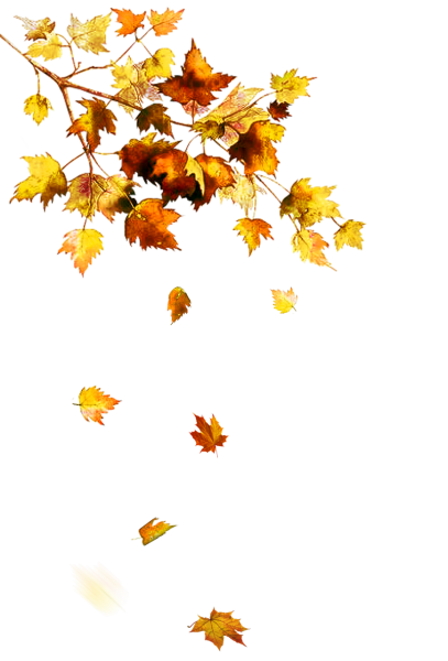 Анимированные падающие листья
