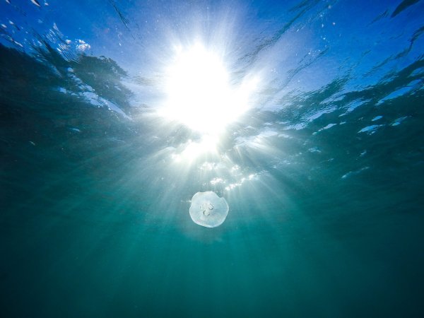 Солнце из под воды
