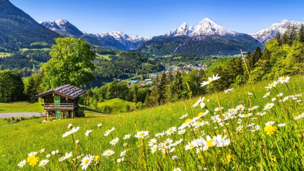 Швейцария зелёные Альпийские Луга