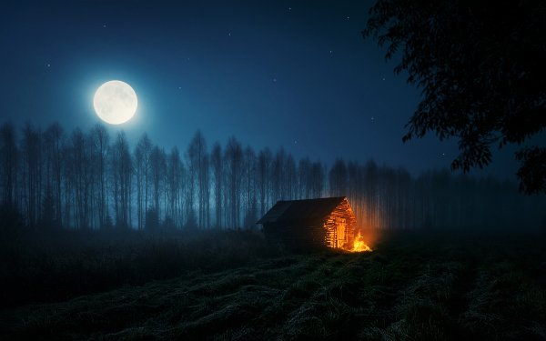 Природа ночью