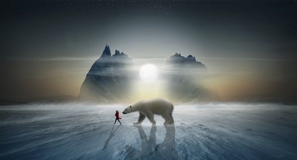 Северный полюс белые медведи