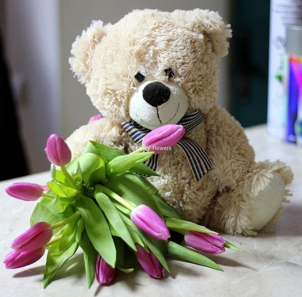 Фон медведя с цветами