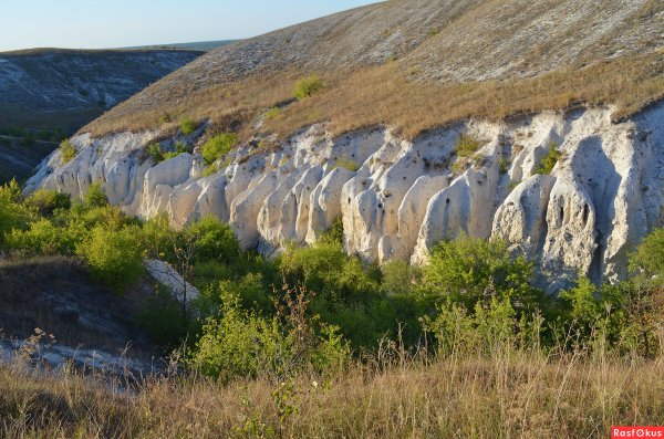 Село Сторожевое Воронежской области меловые горы