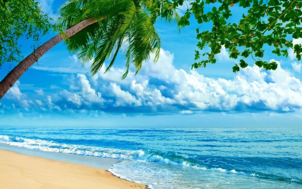 Фотообои тропический пляж