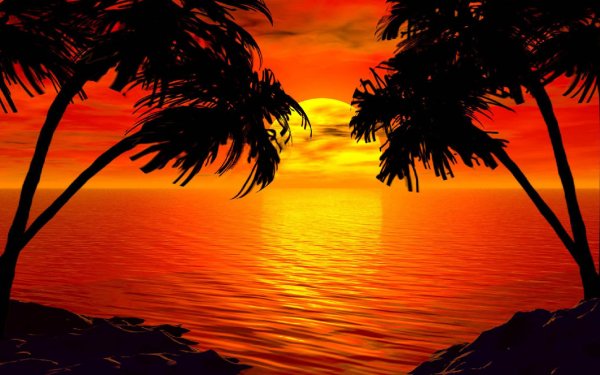 Пальмы на закате