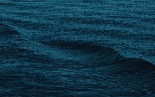 Темное море волны