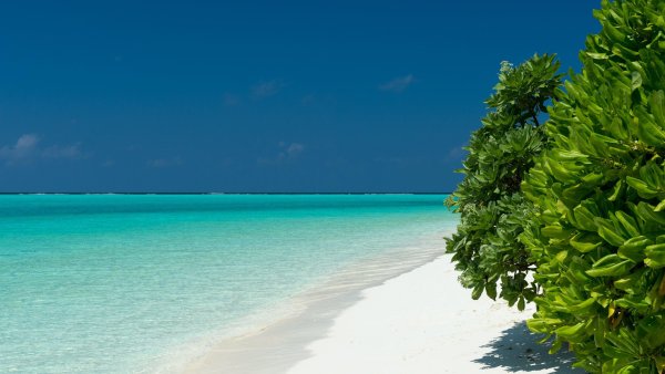 Тодду Мальдивы океан