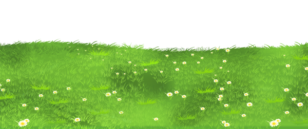 Клипарт трава на прозрачном фоне