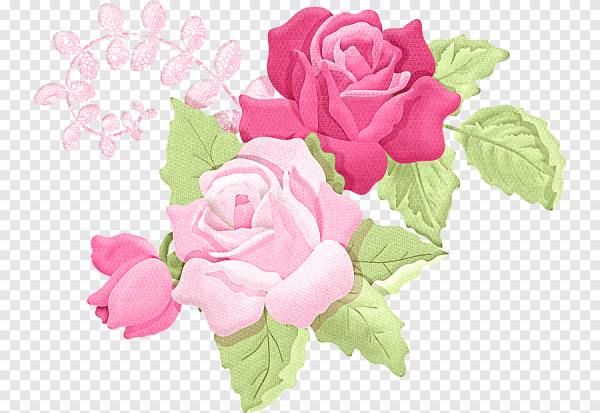 Векторные цветы розовые