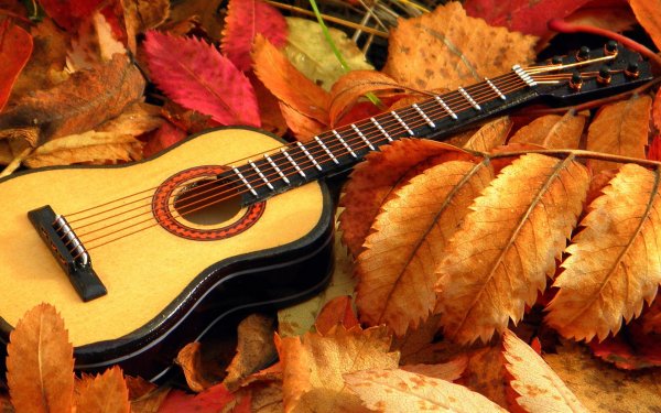 Музыкальные инструменты осень