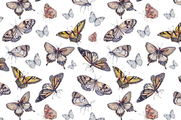 Фон нарисованные бабочки