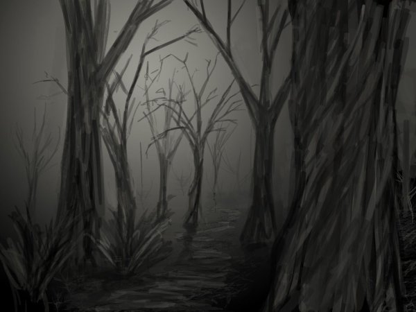 Фон нарисованный темный лес