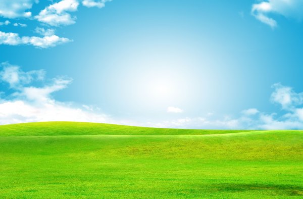 Голубое небо зеленая трава