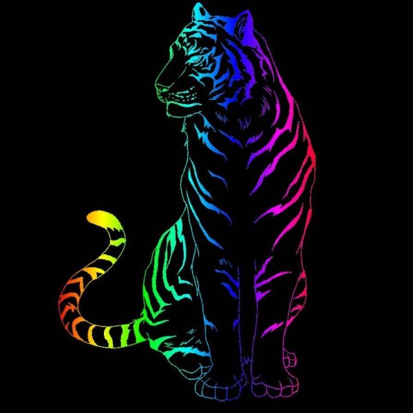Разноцветный тигр