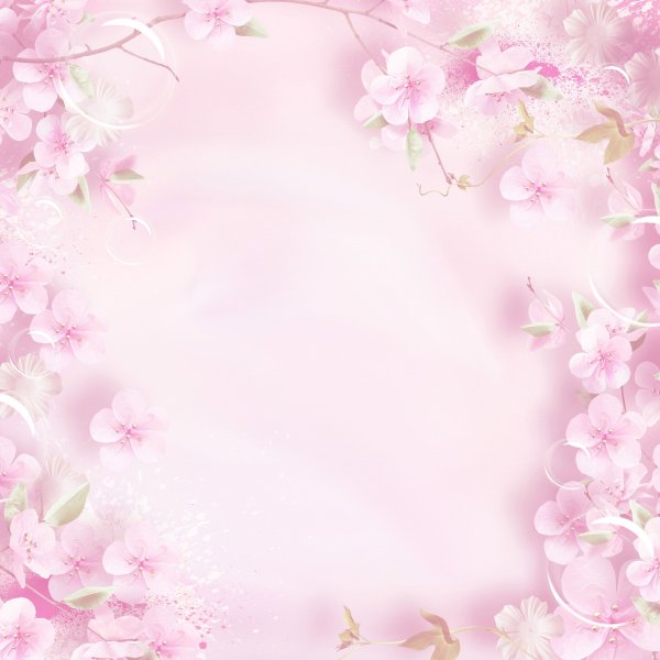 Фон нежно розовый цветок
