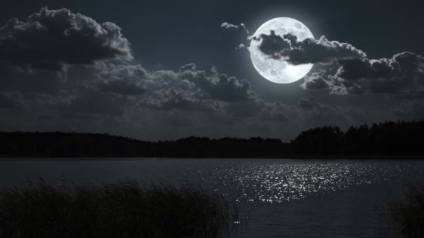 Фон ночь и луна