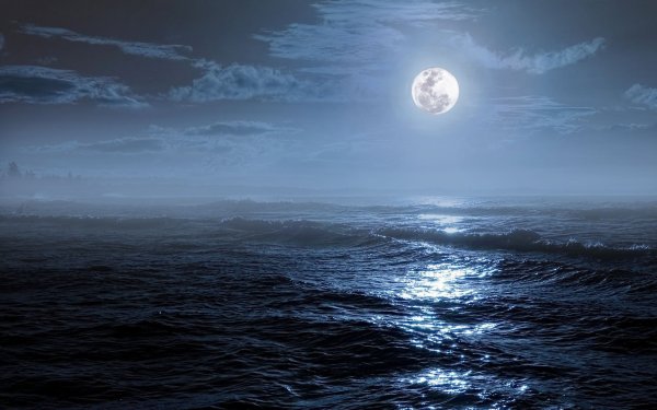 Океан ночью