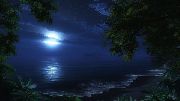 Ночь в море