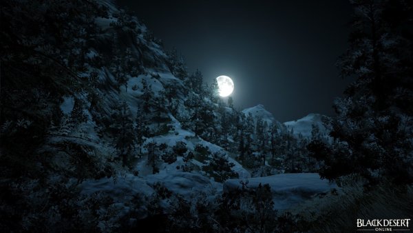 Фон ночь лес зима