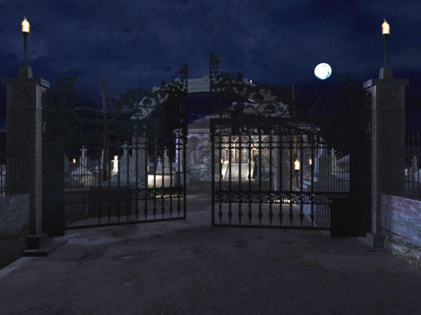 Ворота ночью
