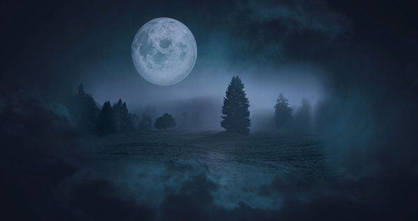 Фон ночного леса с луной