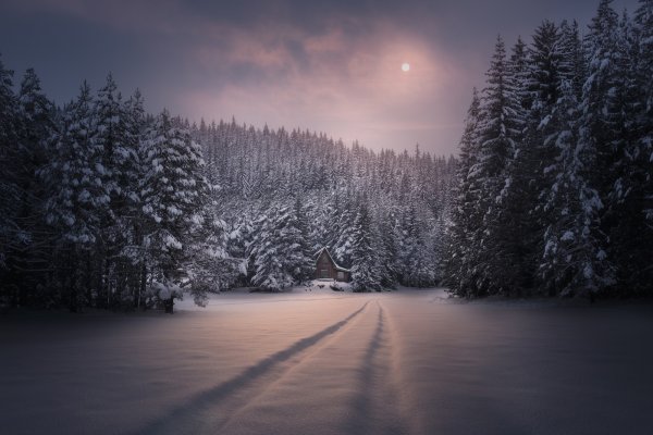 Зимний ночной пейзаж