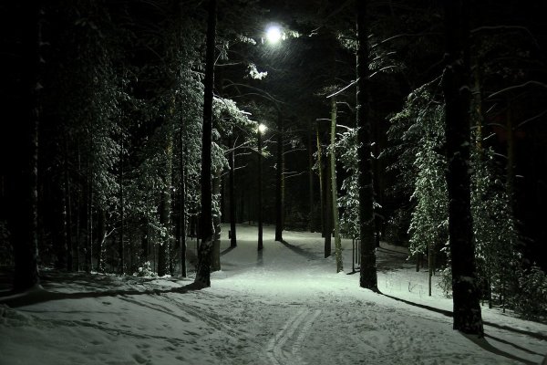 Зимний парк ночью