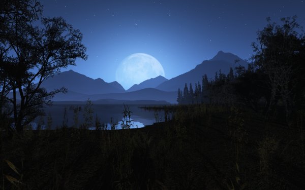 Красивые ночные пейзажи