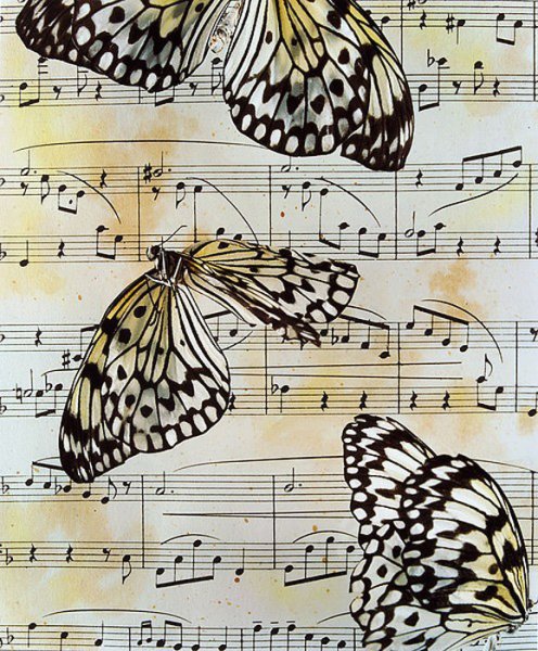 Фон ноты и бабочки