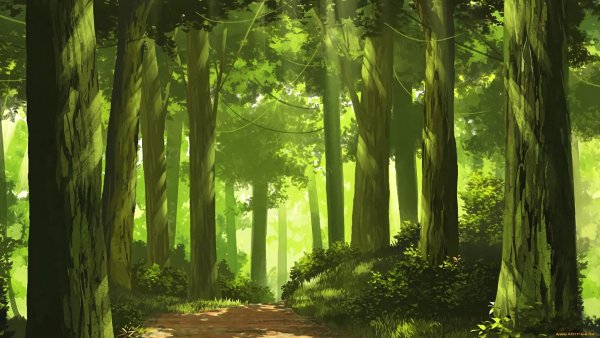 Фон обычный лес